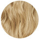 Muster: Lichtblond 10N